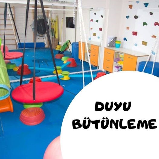 Duyu Bütünleme 